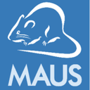 MAUS Virtual CFO