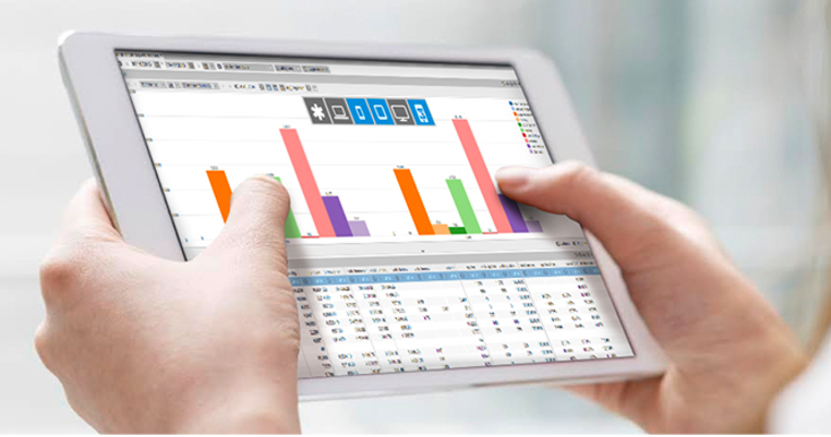 Análisis de los datos en el CDP euleriano Análisis de los datos en el CDP euleriano