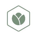 Instagreen est considérée comme "la ferme urbaine durable de Barcelone". Il s'agit d'une entreprise qui cultive des plants pour ceux qui apprécient les aliments frais et sains. Instagreen est considérée comme "la ferme urbaine durable de Barcelone". Il s'agit d'une entreprise qui cultive des plants pour ceux qui apprécient les aliments frais et sains.