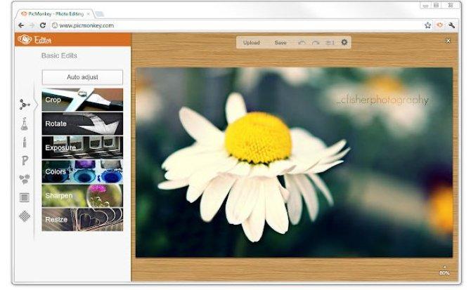 PicMonkey-PicMonkey PicMonkey-PicMonkey