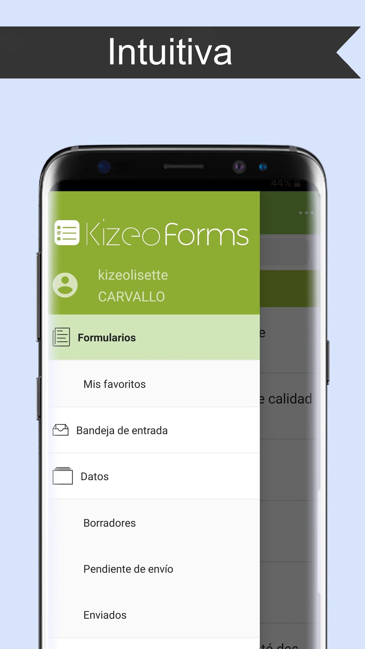 Kizeo Forms - Captura de pantalla 9