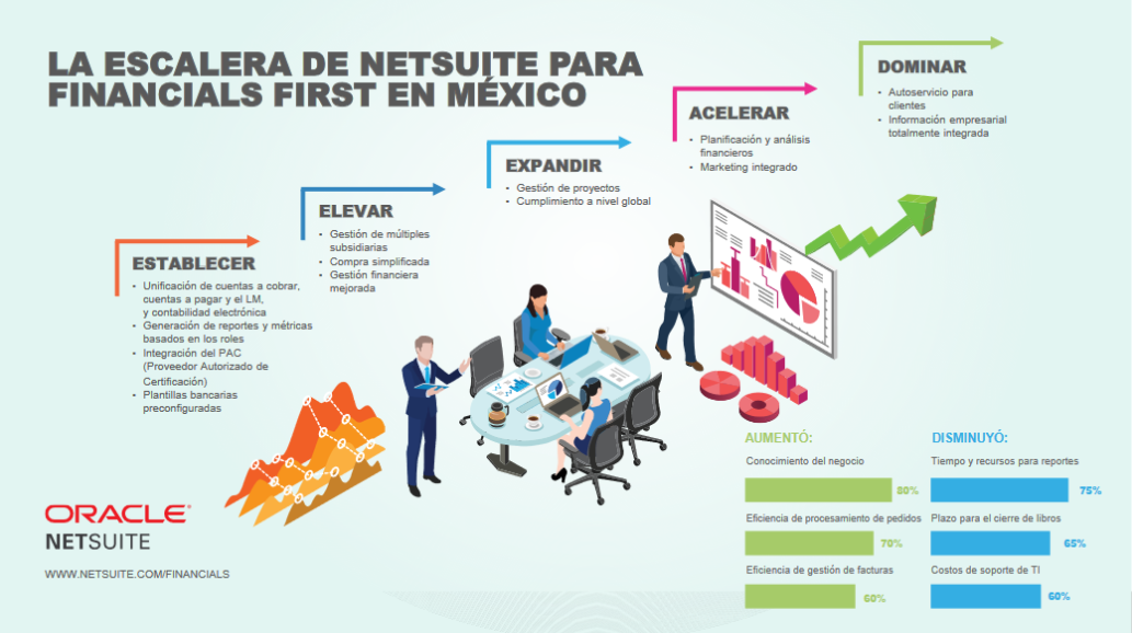 NetSuite - Captura de pantalla 1