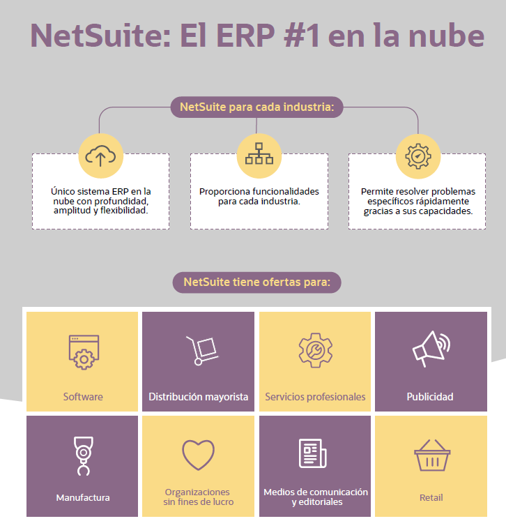 NetSuite - Captura de pantalla 6