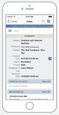 NetSuite - Captura de pantalla 3