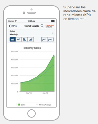 NetSuite - Captura de pantalla 4