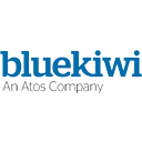 BlueKiwi