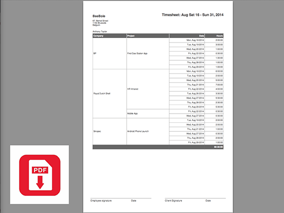 Beebole - Beebole - informes exportables
